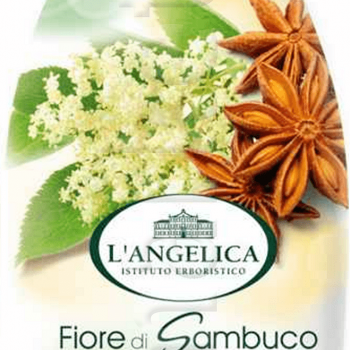 L'ANGELICA OFFICINALIS Душ-гел бъз и звездовиден анасон, 500мл.