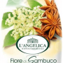 L'ANGELICA OFFICINALIS Душ-гел бъз и звездовиден анасон, 500мл.