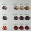 MM Beauty Phyto Colour Боя за коса